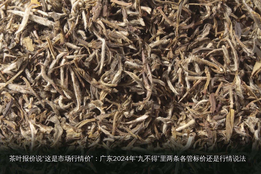品茶素材｜067｜茶叶与茶汤